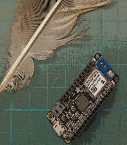 Feather IOT controller 1