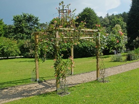 Pergola construction